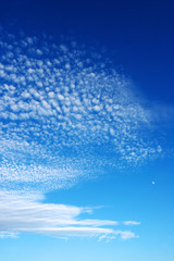 Fototapeta na wymiar うろこ雲と月