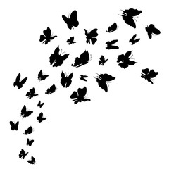 Fototapeta na wymiar Silhouette Black Fly Flock Of Butterflies. Vector