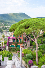 Fototapeta na wymiar Beautiful daylight view to a green tree and Santa Margherita Ligure city in Italy.