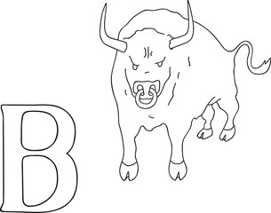 Vector hand drawn illustration capital letter B on alphabet card. Black and white realistic bull isolated. Kids ABC, school education. Coloring page for children.
