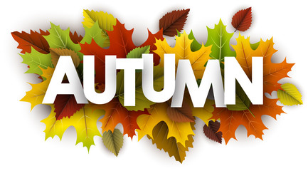 Autumn banner with colorful leaves.