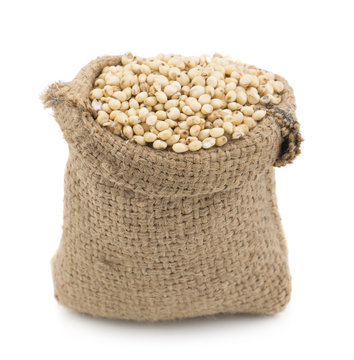 sorghum seed