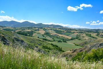 Fototapeta na wymiar Rivalta di Lesignano (Parma, Italy): summer landscape