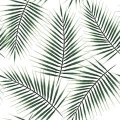 Seamless pattern of exotic palm trees. Green leaves on white background. Tropical leaf.