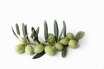 Ramo di ulivo e olive verdi