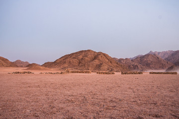 Fototapeta na wymiar landscape of sahara