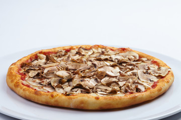tasty pizza