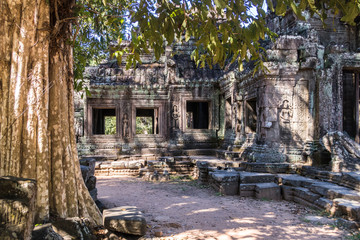Fototapeta premium angkor 