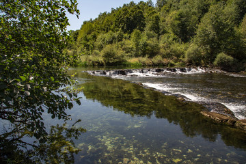 Fototapeta na wymiar River Dobra (Croatia) / Beautiful river in Croatia