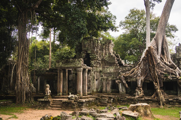 angkor