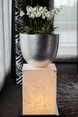 home and location decorating ideas