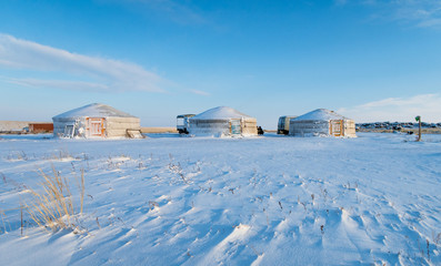 yurts in mongolia