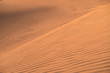 sand mongolia