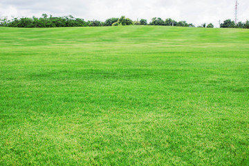 Obraz na płótnie Canvas Green lawn on hill.