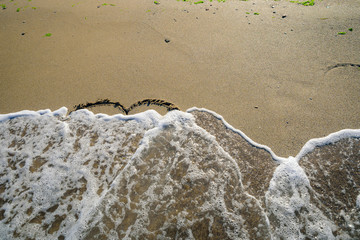 hart in sand washed by waves
