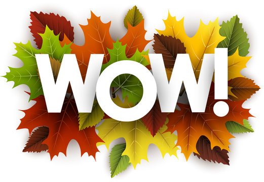 Autumn wow background with leaves.