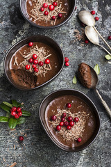 Homemade delicate chocolate mousse with cranberries and chocolate chips in serving ceramic bowls on a gray stone background. Top View.