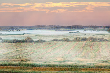 Foggy meadow on the sunny morning