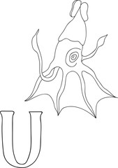 Vector hand drawn illustration capital letter U on alphabet card. Black and white realistic umbrella squid isolated. Kids ABC, school education. Coloring page for children