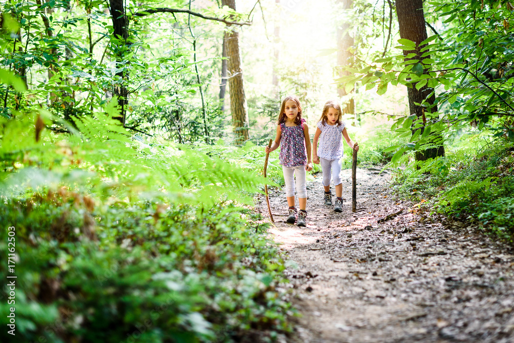 Wall mural children - twin girls are hiking in the mountains.