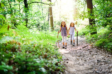 Children - twin girls are hiking in the mountains.