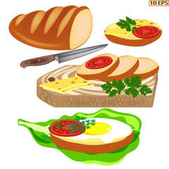 Bread. Sandwich. Sandwich with cheese, egg, bacon and tomato. Toasts. Sliced bread for the sandwiches. Lettuce, parsley, dill. Fast food, snacks.  Vector.