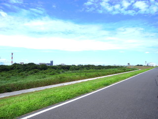 江戸川の土手風景