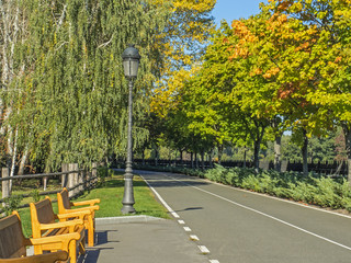 Beautiful park in autumn summer day