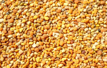 Perga bee as a background