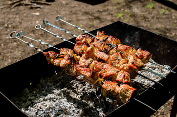 Cooking barbecue in nature.
