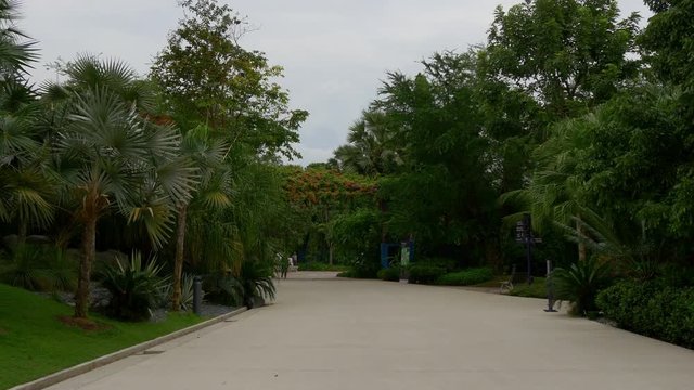 singapore famous gardens by the bay park walking panorama 4k 
