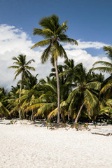 Obraz premium paradise caribbean islands