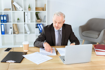 mature businessman with paperwork