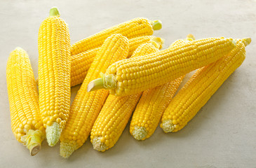 Fresh corn cobs on light background