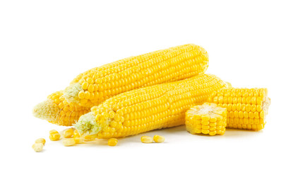 Fresh corn cobs, isolated on white