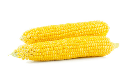 Fresh corn cobs, isolated on white