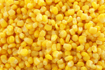Canned corn kernels, closeup