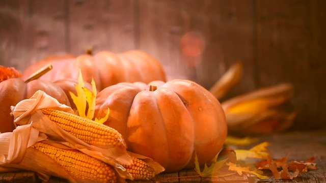 Thanksgiving Day background. Wooden table decorated with pumpkins and corncobs. 4K UHD video footage. Ultra high definition 3840X2160