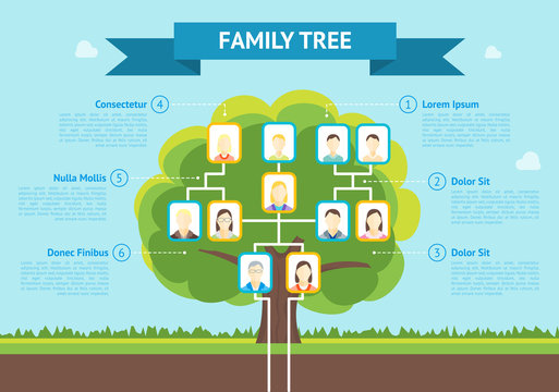 Cartoon Family Tree Infographic Card Poster. Vector
