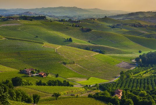 Italy, Piedmont, Asti district, Langhe