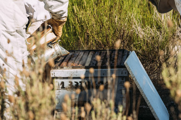 Beekeeper working collect honey.
