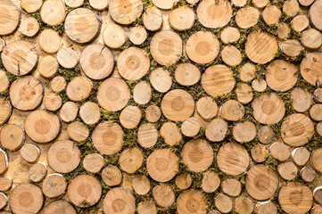 Pile of wood logs background, texture. Landscape exterior