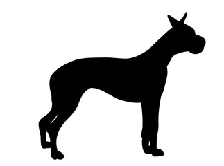  isolated silhouette dog