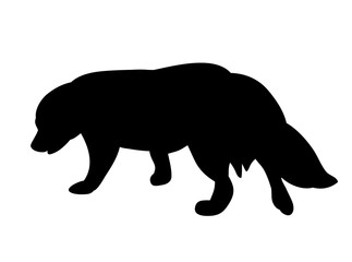 Obraz na płótnie Canvas isolated silhouette dog