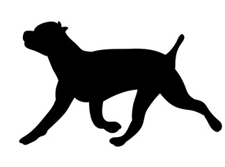  isolated silhouette dog