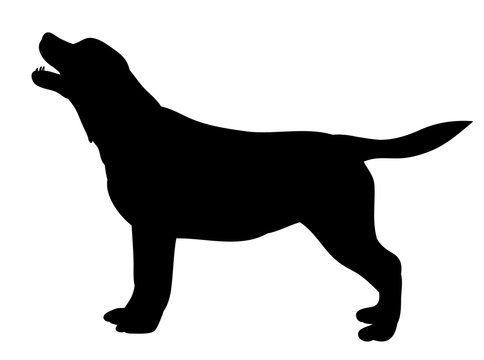  isolated silhouette dog