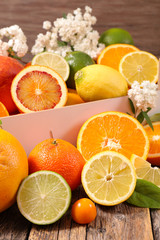 Fototapeta na wymiar assorted citrus fruit