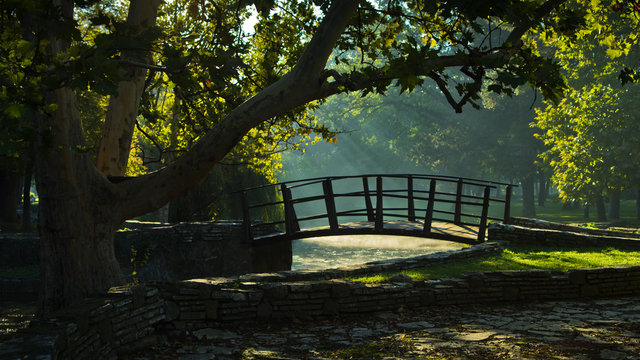 Little wooden bridge on first sunrays at morning in Topcider park, Belgrade, Serbia © banepetkovic