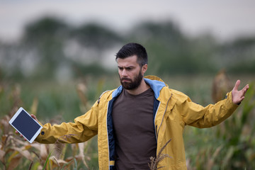 Unhappy farmer in corn field
