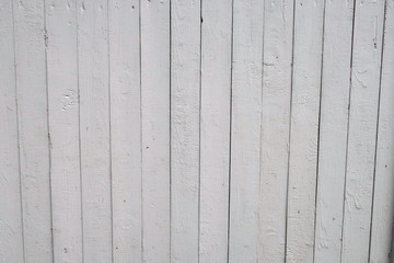 texture of a light wooden wall